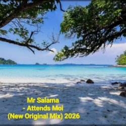 Cover Mr Salama - Attends Moi (New Original Mix) 2026​