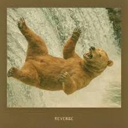 Cover Agency - REVERSE