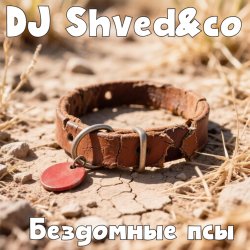 Cover DJ Shved&co - Бездомные псы