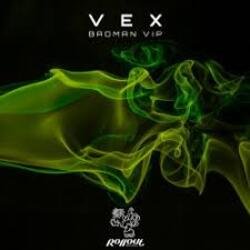 Cover VEX - Northern Funk (Leks Remix)