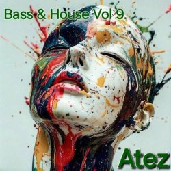 Cover Bass & House Vol 9.