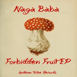 Cover Naga Baba - The Prophet