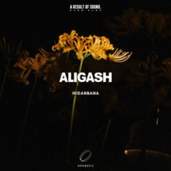 Cover ALIGASH - Moon Bay At Sunset (Extended Mix)