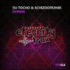 Cover DJ TOCHO & Schizoofr3nik - Express DJ TOCHO & Schizoofr3nik - Express