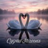 Vasilii CECEGOV & Atom - Cygnus Melodies