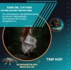 Cover Dark Me, O'Kyara - O'Kyara Calling (Trip Hop Vers) Dark Me, O'Kyara - O'Kyara Calling (Trip Hop Vers)