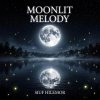 Cover Vasilii CECEGOV & Atom - Moonlit melody Vasilii CECEGOV & Atom - Moonlit melody