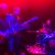 Cover Joseph Studio Friends Jam Session - Improvisation of Rock'n'roll 1993
