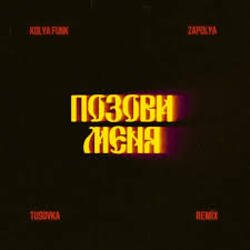 Cover Kolya Funk, ZAPOLYA, TUSOVKA - Позови меня (Remix)