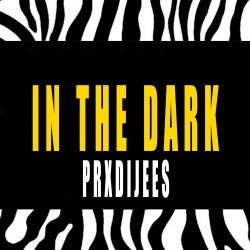 Cover IN THE DARK