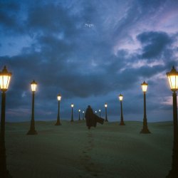 Cover Aimer - Wren