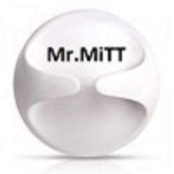 Cover Mr.MiTT - Гори Ясно (ORIGINAL DnB MIX)