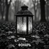 Cover Fool. - Фонарь Fool. - Фонарь