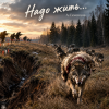 Cover Александр - WE MUST LIVE. Александр - WE MUST LIVE.