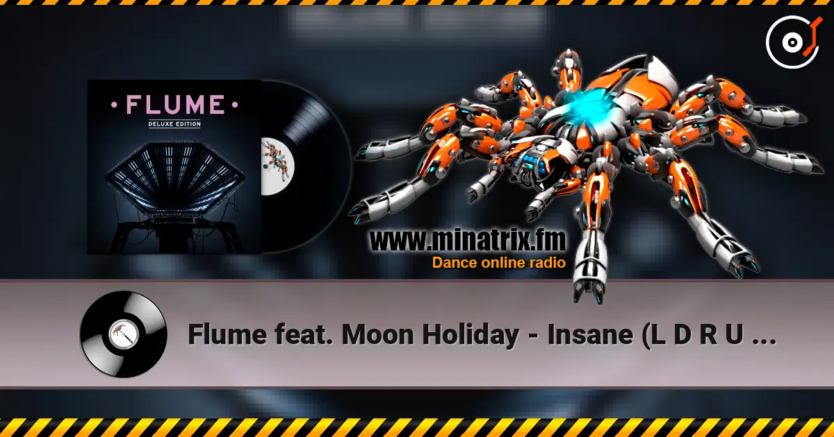 Flume feat. Moon Holiday - Insane (L D R U Remix) online in hoher Qualität hören | Minatrix.FM