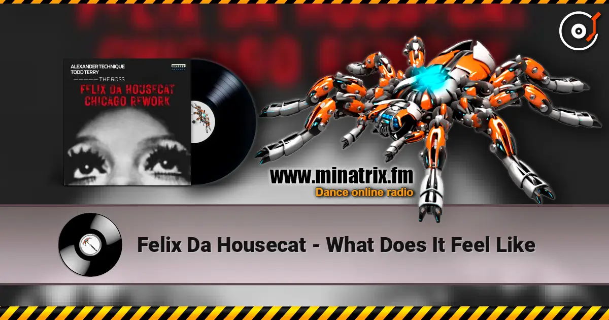 Felix Da Housecat - What Does It Feel Like online in hoher Qualität hören | Minatrix.FM