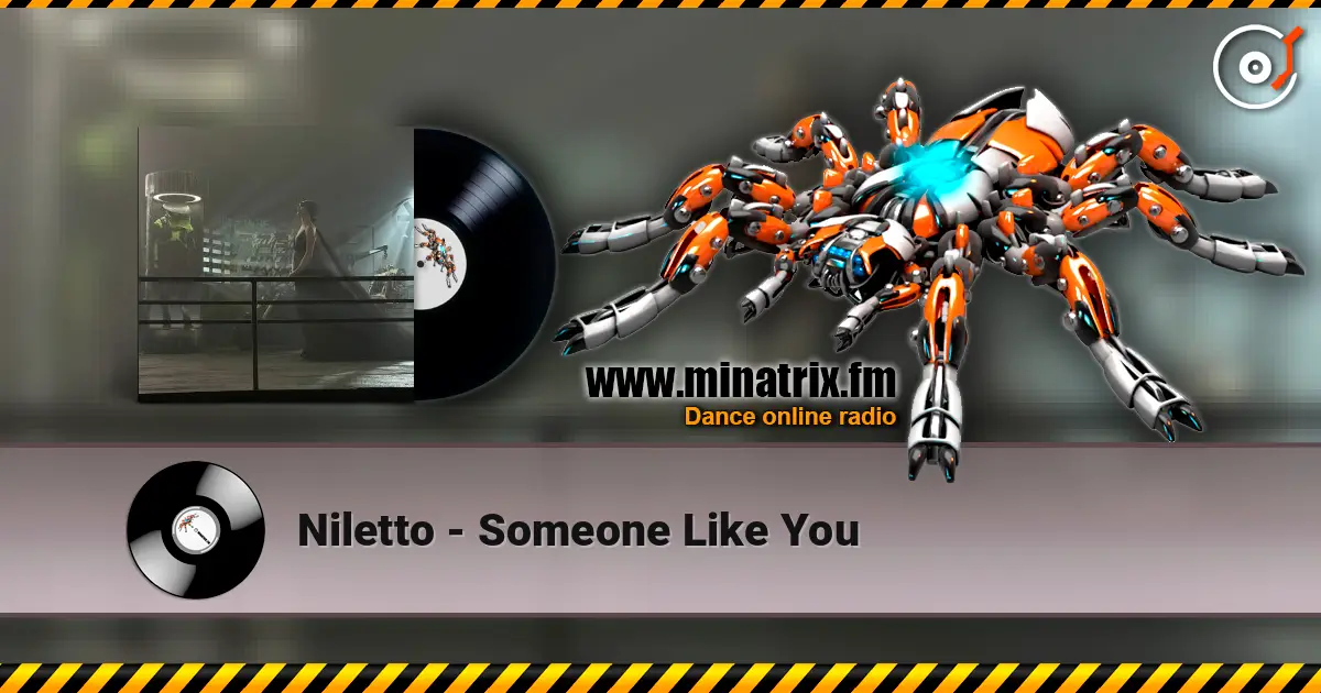 Niletto - Someone Like You online in hoher Qualität hören | Minatrix.FM