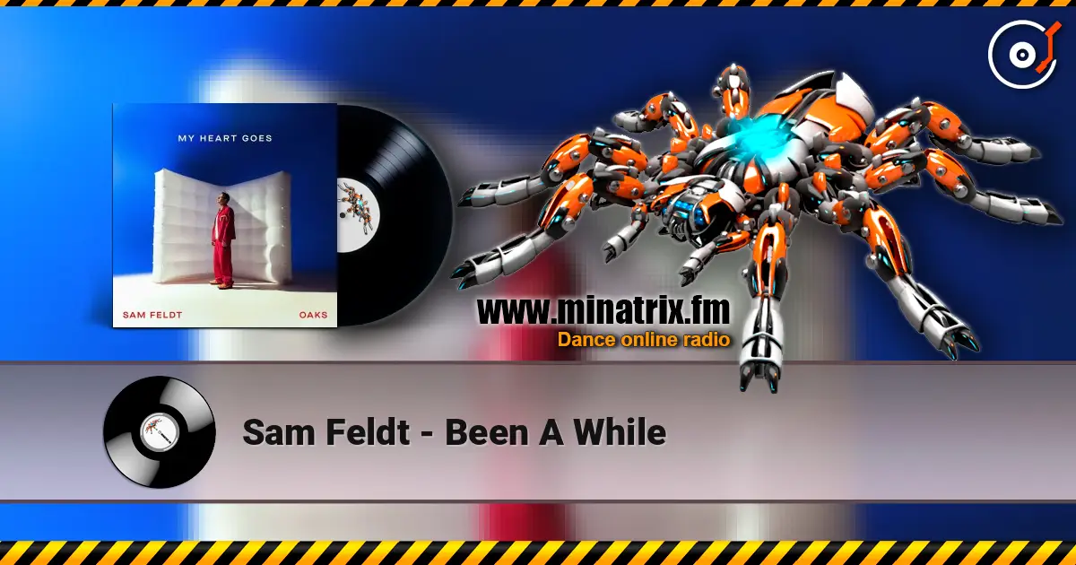 Sam Feldt - Been A While online in hoher Qualität hören | Minatrix.FM
