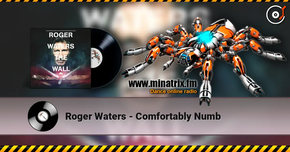 Roger Waters - Comfortably Numb online in hoher Qualität hören | Minatrix.FM