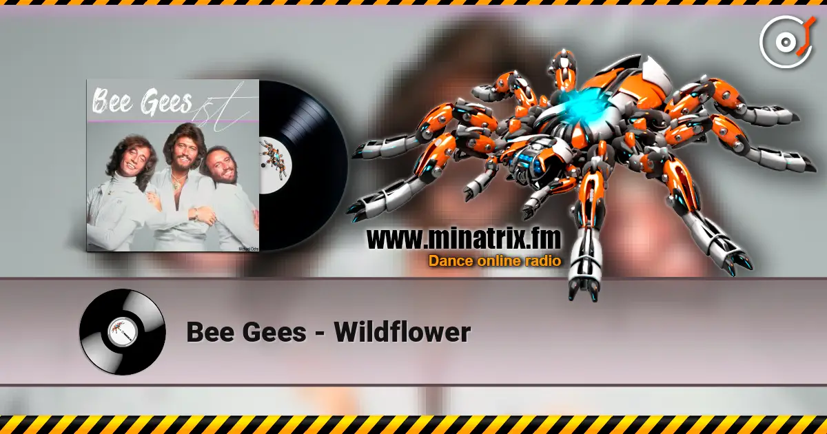 Bee Gees - Wildflower online in hoher Qualität hören | Minatrix.FM