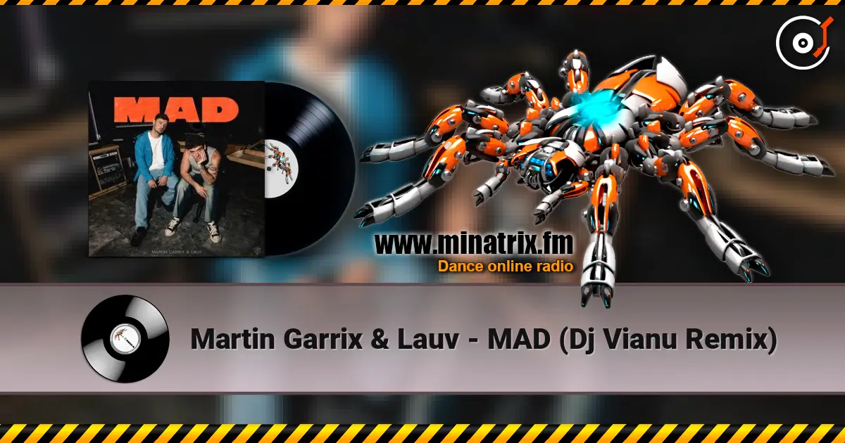 Martin Garrix & Lauv - MAD (Dj Vianu Remix) online in hoher Qualität hören | Minatrix.FM