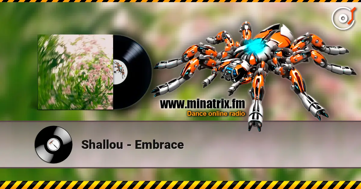 Shallou - Embrace online in hoher Qualität hören | Minatrix.FM
