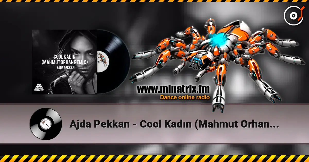 Ajda Pekkan - Cool Kadın (Mahmut Orhan Remix) online in hoher Qualität hören | Minatrix.FM