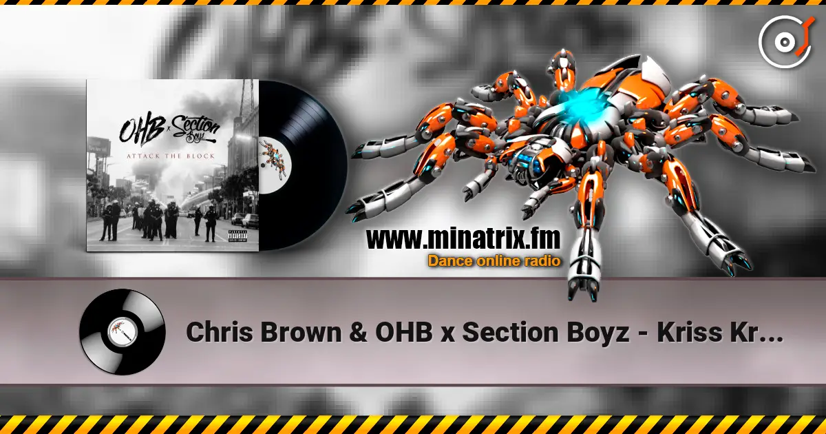 Chris Brown & OHB x Section Boyz - Kriss Kross (feat. Chris Brown, TJ Luva Boy & Young Blacc) online in hoher Qualität hören | Minatrix.FM