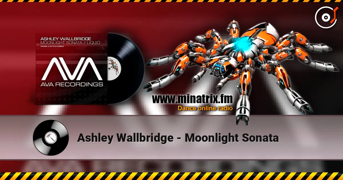 Ashley Wallbridge - Moonlight Sonata online in hoher Qualität hören | Minatrix.FM