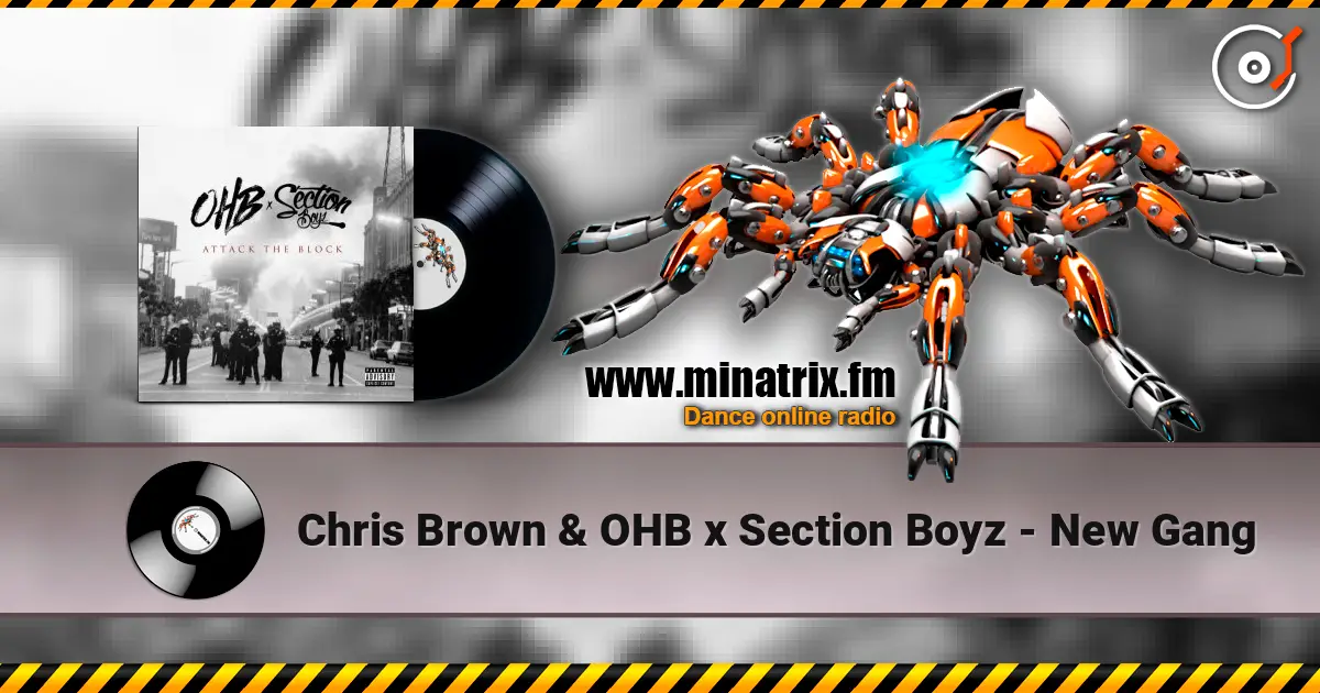 Chris Brown & OHB x Section Boyz - New Gang online in hoher Qualität hören | Minatrix.FM