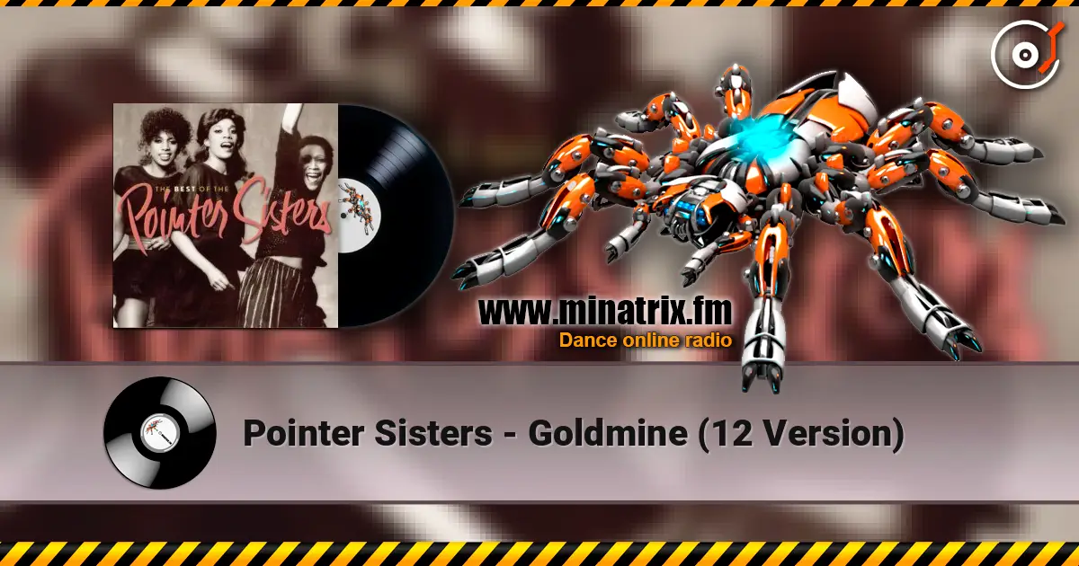 Pointer Sisters - Goldmine  (12 Version) online in hoher Qualität hören | Minatrix.FM