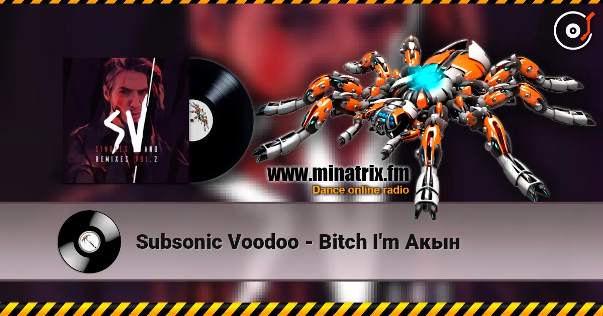 Subsonic Voodoo - Bitch I'm Акын online in hoher Qualität hören | Minatrix.FM