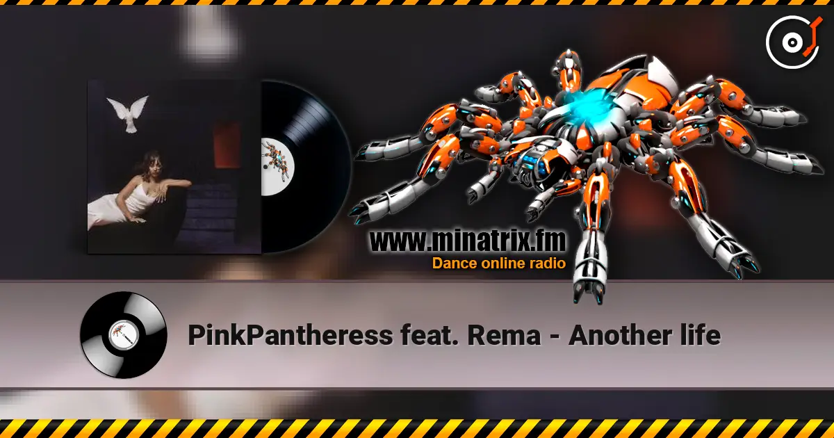 PinkPantheress feat. Rema - Another life online in hoher Qualität hören | Minatrix.FM