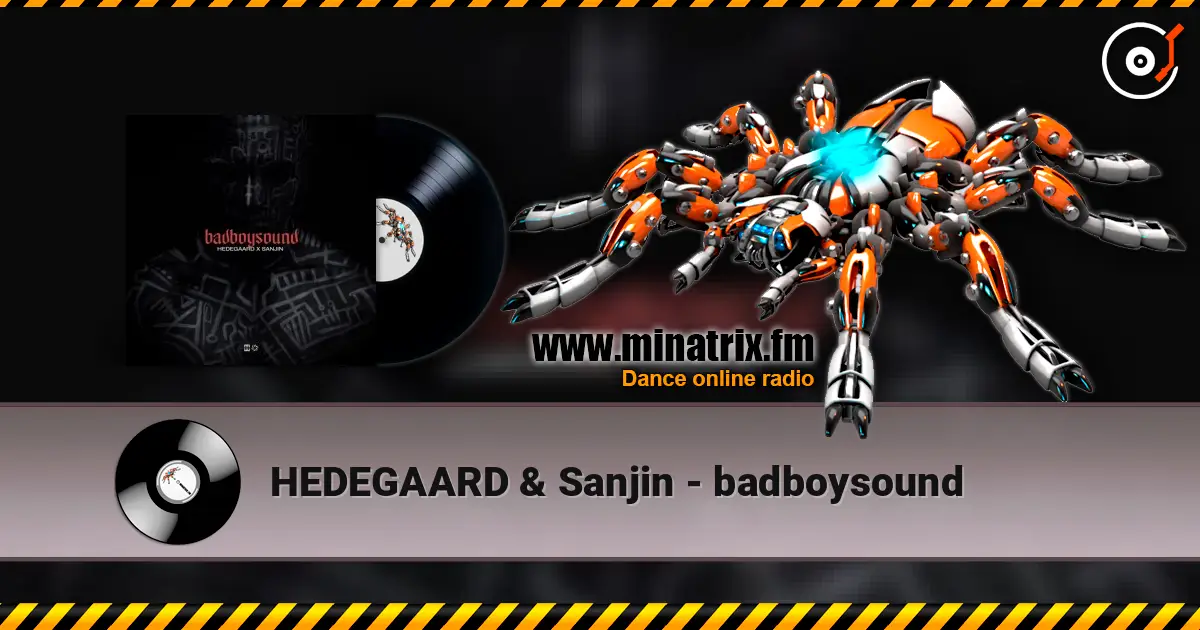 HEDEGAARD & Sanjin - badboysound online in hoher Qualität hören | Minatrix.FM