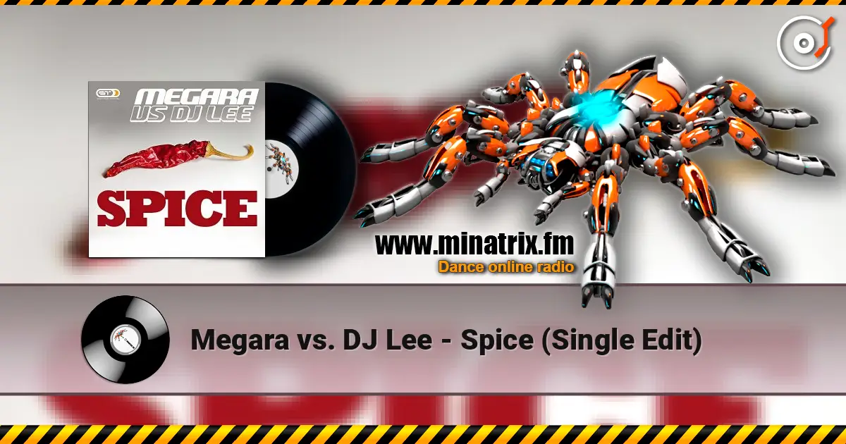 Megara vs. DJ Lee - Spice (Single Edit) online in hoher Qualität hören | Minatrix.FM