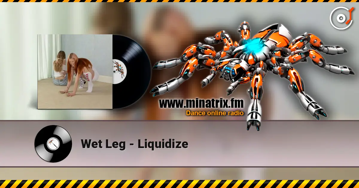 Wet Leg - Liquidize online in hoher Qualität hören | Minatrix.FM