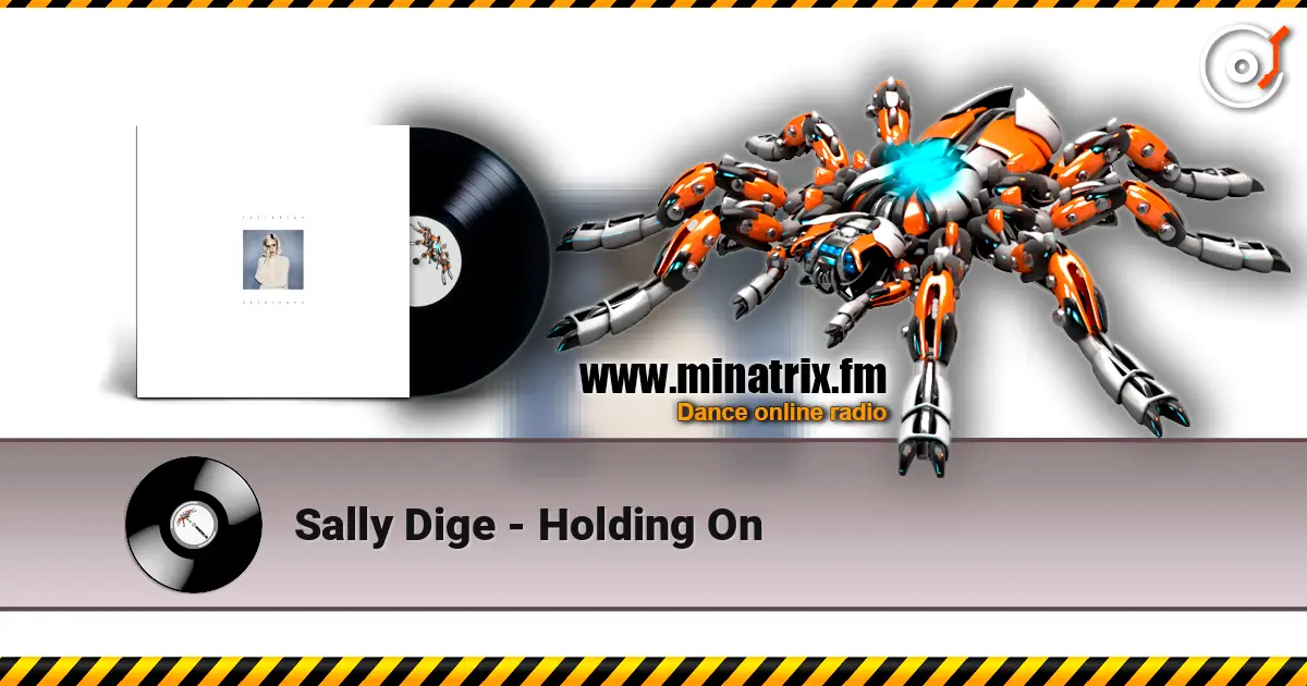Sally Dige - Holding On online in hoher Qualität hören | Minatrix.FM