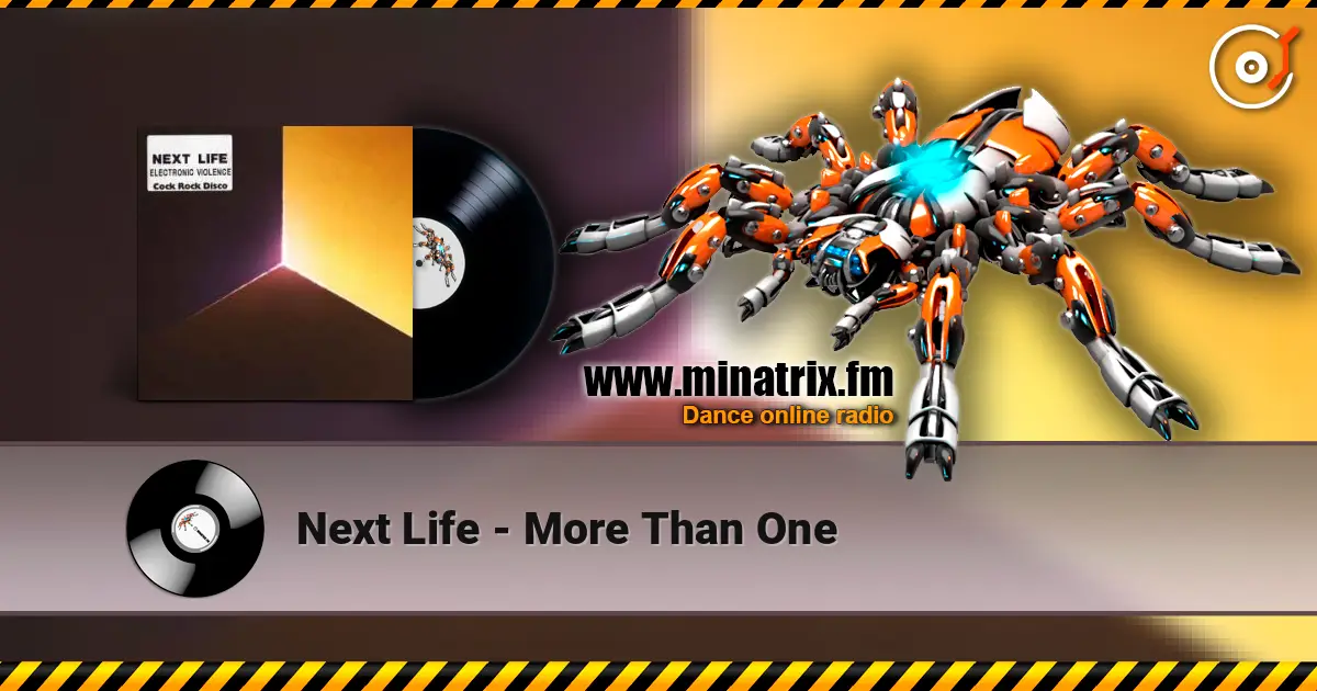Next Life - More Than One online in hoher Qualität hören | Minatrix.FM