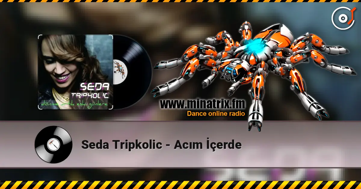 Seda Tripkolic - Acım İçerde online in hoher Qualität hören | Minatrix.FM