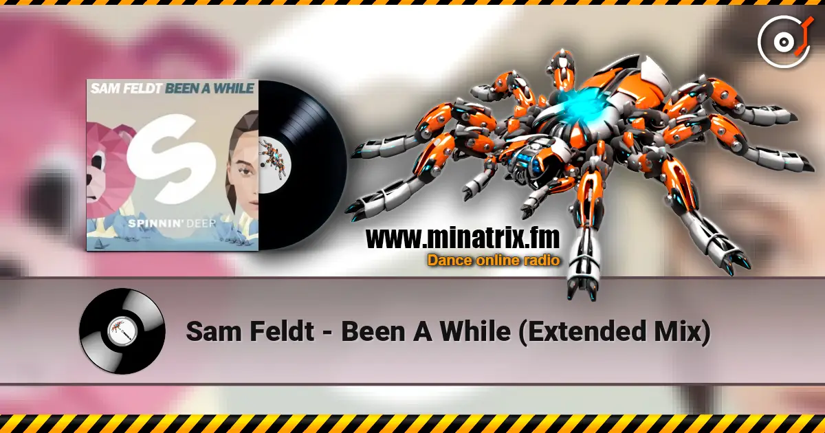 Sam Feldt - Been A While (Extended Mix) online in hoher Qualität hören | Minatrix.FM
