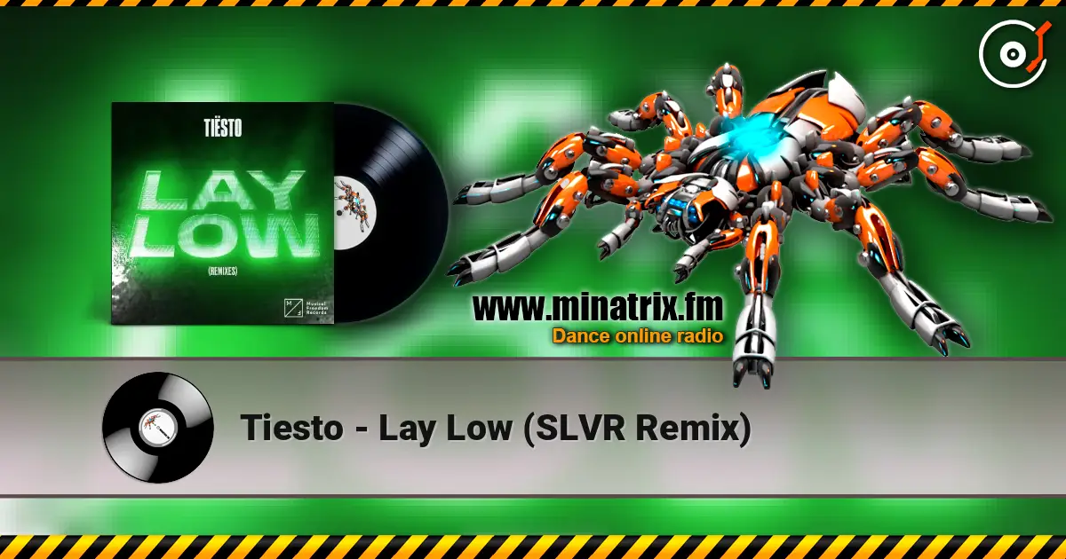 Tiesto - Lay Low (SLVR Remix) online in hoher Qualität hören | Minatrix.FM