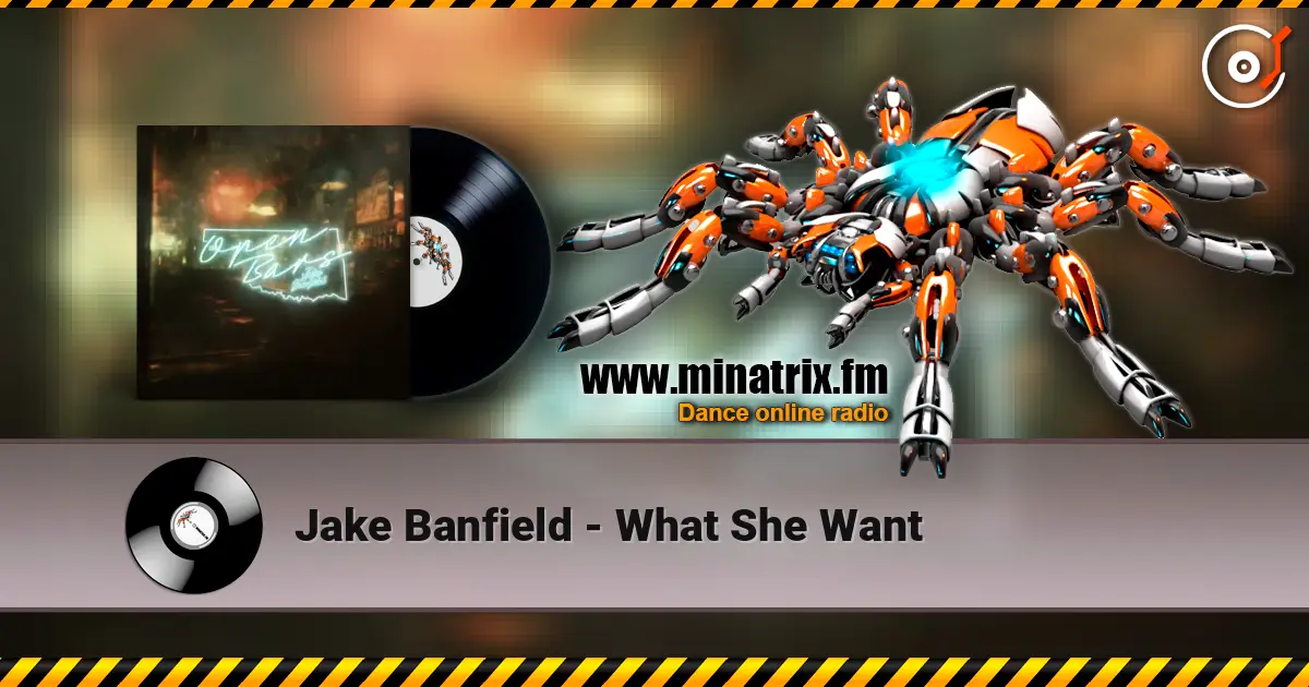 Jake Banfield - What She Want online in hoher Qualität hören | Minatrix.FM