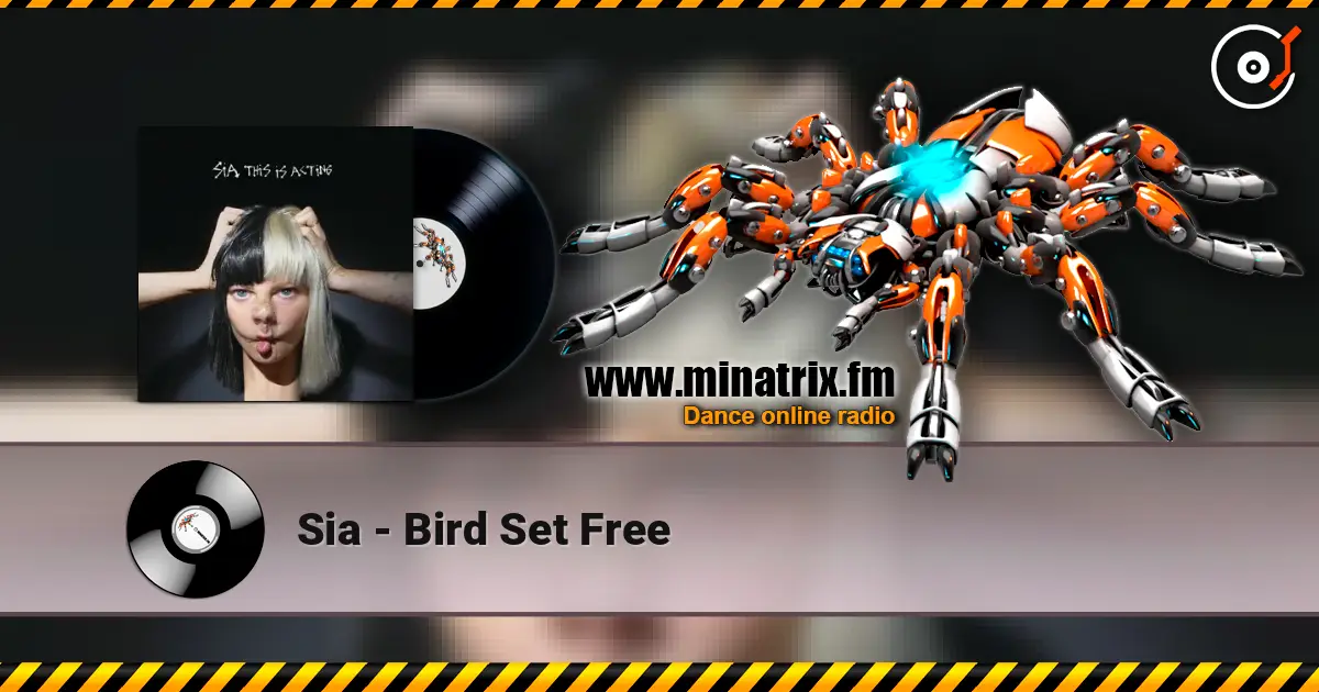 Sia - Bird Set Free online in hoher Qualität hören | Minatrix.FM