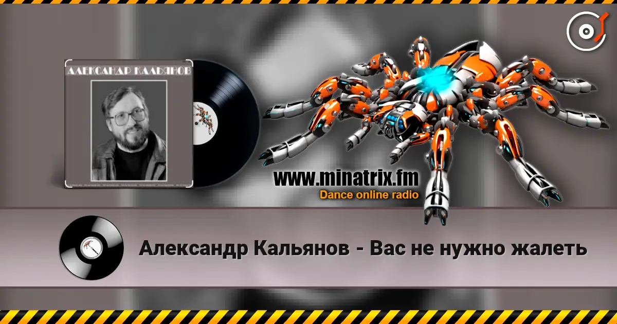 Александр Кальянов - Вас не нужно жалеть online in hoher Qualität hören | Minatrix.FM