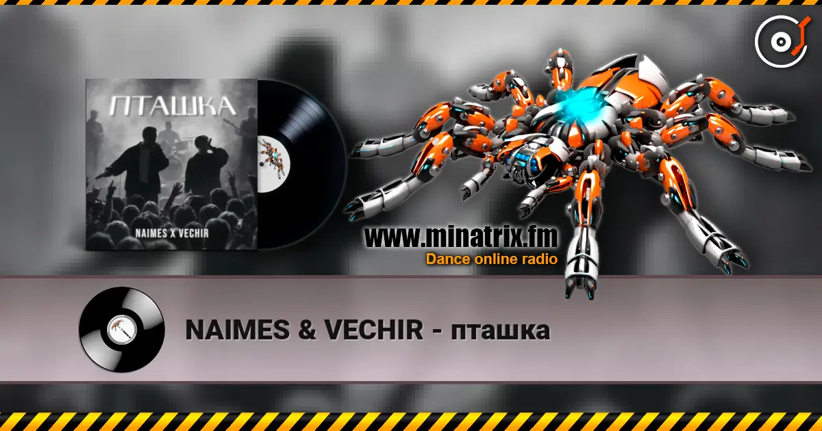 NAIMES & VECHIR - пташка online in hoher Qualität hören | Minatrix.FM