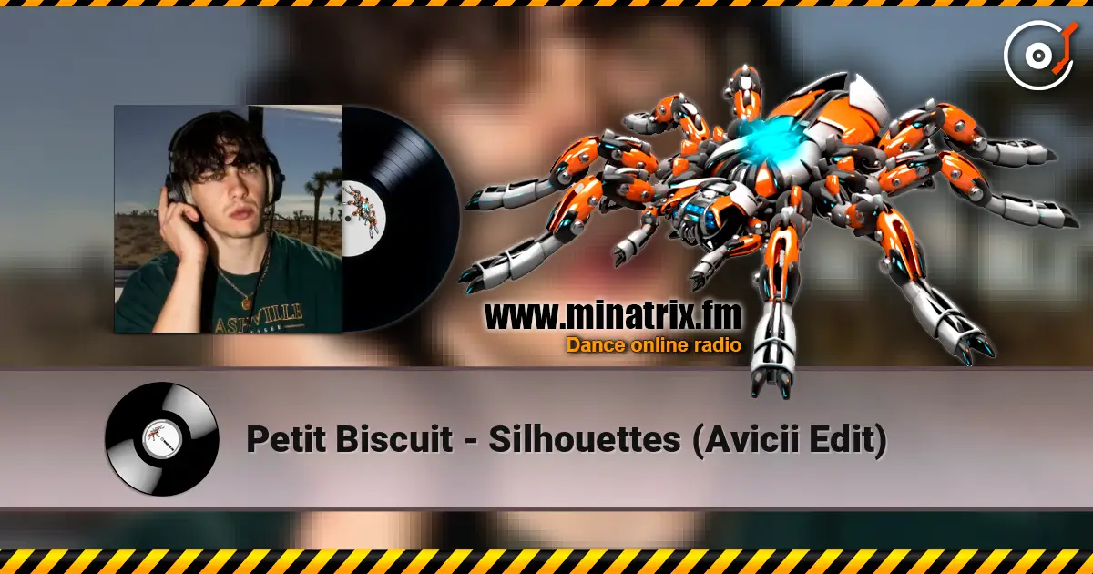 Petit Biscuit - Silhouettes (Avicii Edit) online in hoher Qualität hören | Minatrix.FM