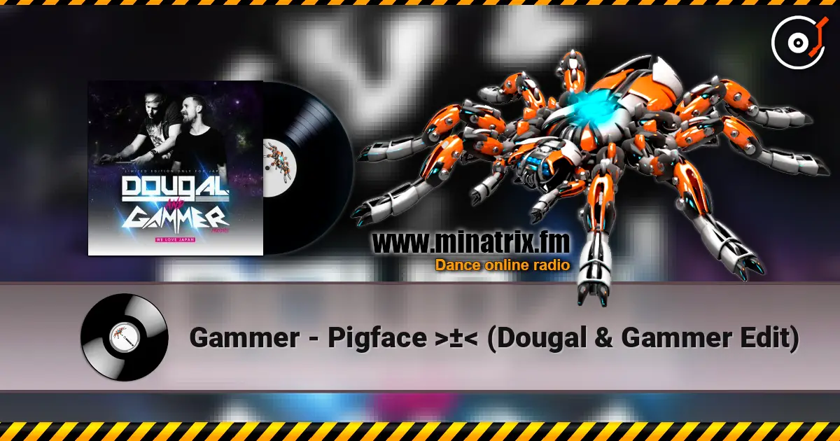 Gammer - Pigface ± (Dougal & Gammer Edit) online in hoher Qualität hören | Minatrix.FM