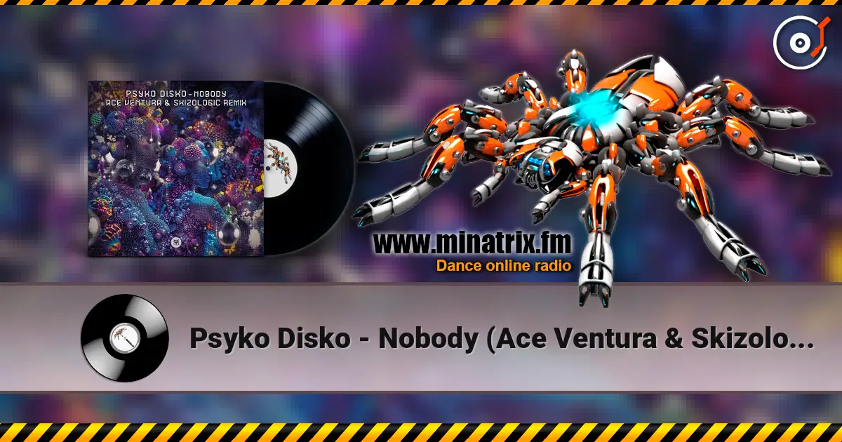 Psyko Disko - Nobody (Ace Ventura & Skizologic Remix) online in hoher Qualität hören | Minatrix.FM
