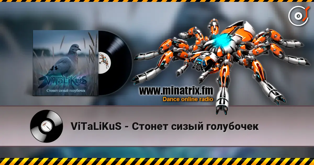 ViTaLiKuS - Стонет сизый голубочек online in hoher Qualität hören | Minatrix.FM