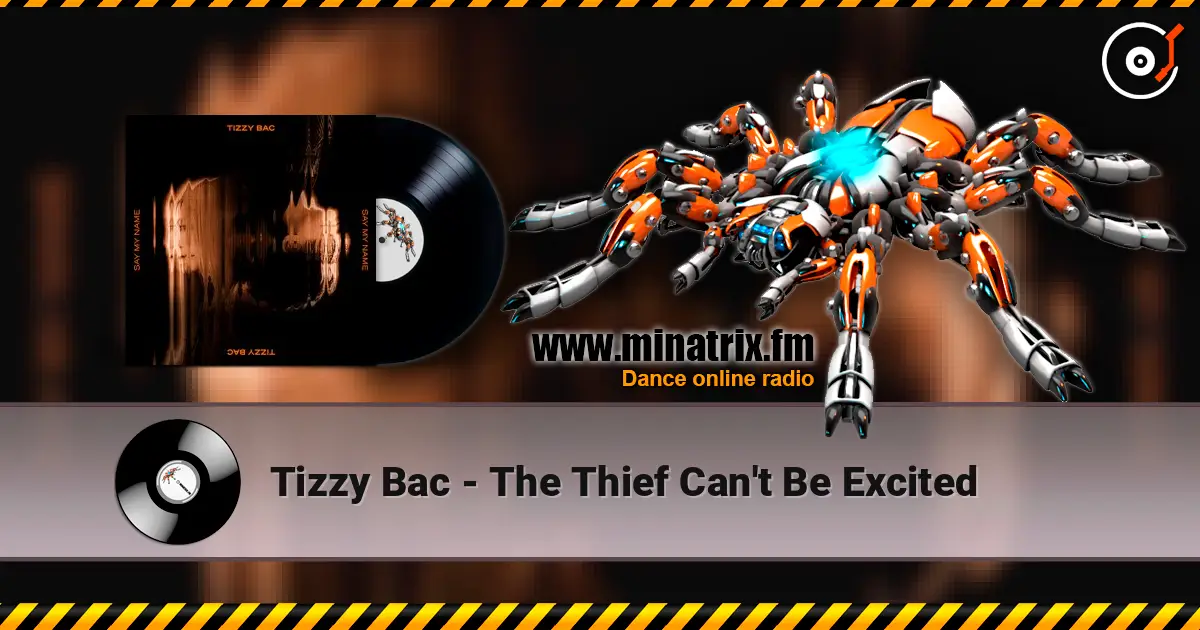 Tizzy Bac - The Thief Can't Be Excited online in hoher Qualität hören | Minatrix.FM